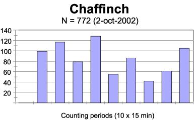 Chaffinch-migration 2-oct-2002