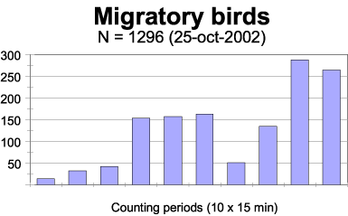 Ten times 15 minutes birds on migration; 25 october 2002
