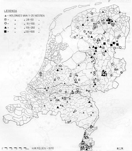 Nederlandse Roekenkolonies in 1970 ( naar Feijen 1976 )